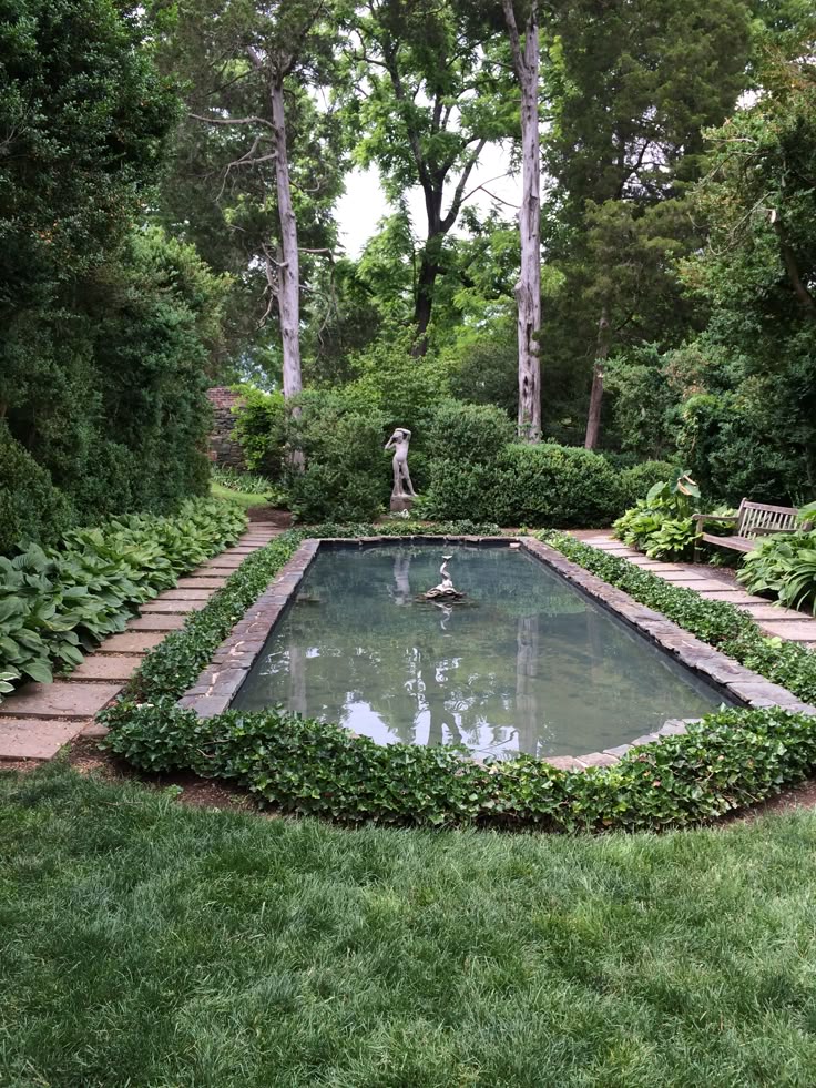 Trusted Professional Pond Cleaning in Sussex for Healthy, Crystal-Clear Water Features