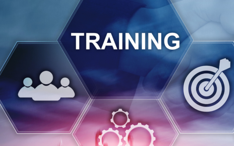 Netsuite Training